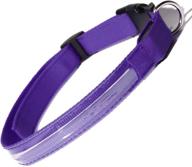 illuminate your pet's path with paws & pals led pet dog cat collar - x-large, purple logo