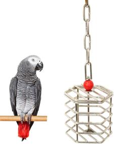 img 4 attached to 🐦 Wontee Bird Stainless Steel Foraging Feeder for Parrots - Hanging Feeding Box Ideal for Macaws, African Greys, Cockatoos, Cockatiels, and Amazons - Cage Accessory