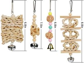 img 2 attached to 🐦 8 Pack Allnice Bird Parrot Toys - Natural Wood Cage Accessories with Hanging Bells, Swing Perch Stand - Ideal for Budgies, Parakeets, Cockatiels, and Other Small Medium Birds