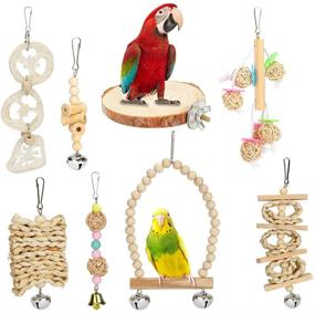 img 4 attached to 🐦 8 Pack Allnice Bird Parrot Toys - Natural Wood Cage Accessories with Hanging Bells, Swing Perch Stand - Ideal for Budgies, Parakeets, Cockatiels, and Other Small Medium Birds