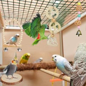 img 1 attached to 🐦 8 Pack Allnice Bird Parrot Toys - Natural Wood Cage Accessories with Hanging Bells, Swing Perch Stand - Ideal for Budgies, Parakeets, Cockatiels, and Other Small Medium Birds