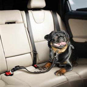 img 1 attached to Adjustable Elastic Bungee Seat Belt for Dogs, Black Car Travel Accessories for Dogs with Buffer