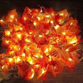 img 4 attached to 🍁 5 Pack Maple Leaves Garland String Lights - Thanksgiving Decorations Fall String Lights with 50 Ft/100 LED Maple Leaves for Indoor Outdoor Autumn Harvest Party Festival Home Patio Thanksgiving Decor