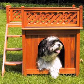 img 2 attached to 🏠 Merry Pet Wood Pet House: A Cozy and Stylish Retreat for Your Beloved Pet