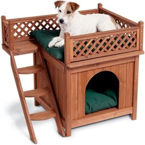 img 4 attached to 🏠 Merry Pet Wood Pet House: A Cozy and Stylish Retreat for Your Beloved Pet