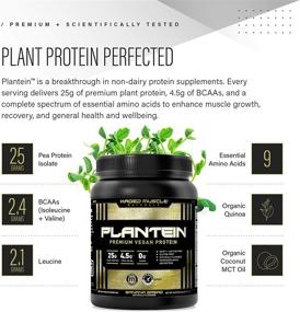 img 1 attached to 🌱 Organic Vegan Protein Powder: Kaged Muscle Plantein for Enhanced Absorption (15 Servings, Cinnamon Roll Flavor)