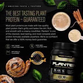 img 2 attached to 🌱 Organic Vegan Protein Powder: Kaged Muscle Plantein for Enhanced Absorption (15 Servings, Cinnamon Roll Flavor)