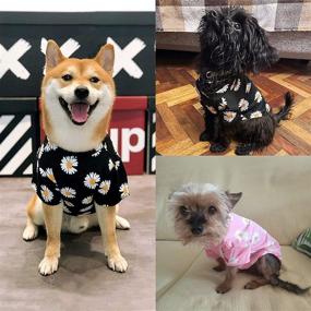 img 3 attached to 🐾 Soft and Stretchy 2 Pack Printed Dog Shirts - Breathable Pet T-Shirt for Small Dogs and Cats