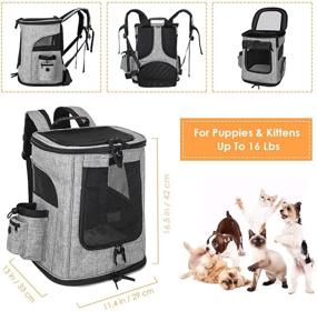 img 3 attached to SlowTon Pet Carrier Backpack for Small Dogs and Cats: Back Supported, Escape Proof, Ventilated Travel Bag with Safety Strap - Ideal for Hiking and Carrying up to 16 lbs