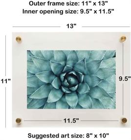 img 3 attached to 📸 Palm to Palm Modern Floating Frame: Clear Acrylic Brass Frameless Picture Frame for Art Degree Certificate Photos (11"x13") - Gold Bolts