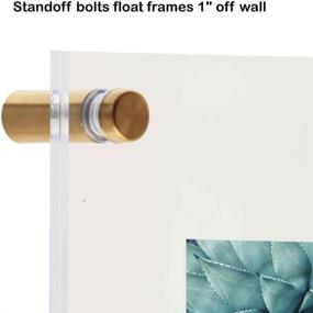 img 2 attached to 📸 Palm to Palm Modern Floating Frame: Clear Acrylic Brass Frameless Picture Frame for Art Degree Certificate Photos (11"x13") - Gold Bolts