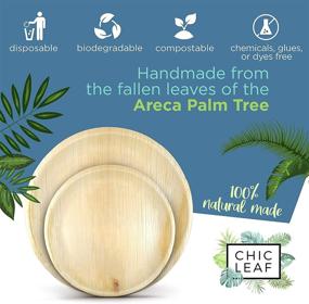 img 3 attached to Chic Leaf Eco-friendly Palm Leaf Plates - 10 Inch & 7 Inch Round Disposable Bamboo Party Pack (48 pk) Compostable and Biodegradable - Ideal Alternative to Plastic, Paper, and Wood Plates