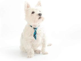 img 2 attached to 🐾 PawsAttire LLC Early Hanging Necktie Pet Collar: Versatile Sizes & Patterns for Dogs, Cats & More