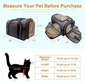 img 3 attached to Expandable Foldable Pet Carrier for Medium Cats and Small Dogs - 🐱 Airline Approved Soft-Sided Travel Bag with Fleece Pad, Foldable Bowl - Cat Carrier