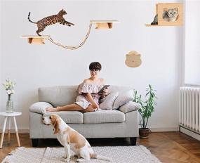 img 3 attached to 🐱 Durable and Stylish Solid Wood Cat Shelf Set: Wall Mounted Climbing Shelves, Indoor Cat Wall Furniture with Activity Systems - 5pcs