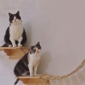 img 2 attached to 🐱 Durable and Stylish Solid Wood Cat Shelf Set: Wall Mounted Climbing Shelves, Indoor Cat Wall Furniture with Activity Systems - 5pcs