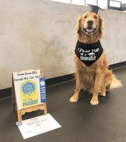 img 1 attached to 🎉 Adorable JPB Graduation Dog Pet Bandana - Celebrate Your Pup's Milestone!