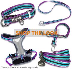 img 2 attached to 🐾 Enhance Your Pet's Safety with Blueberry Pet’s Vibrant 3M Reflective Multi-Colored Stripe Dog Leashes