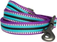 🐾 enhance your pet's safety with blueberry pet’s vibrant 3m reflective multi-colored stripe dog leashes logo