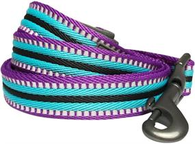 img 4 attached to 🐾 Enhance Your Pet's Safety with Blueberry Pet’s Vibrant 3M Reflective Multi-Colored Stripe Dog Leashes