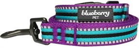 img 1 attached to 🐾 Enhance Your Pet's Safety with Blueberry Pet’s Vibrant 3M Reflective Multi-Colored Stripe Dog Leashes