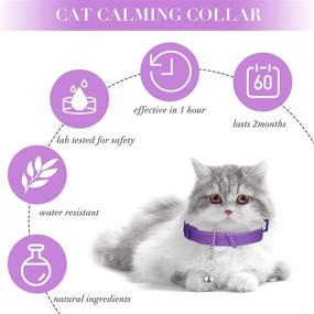 img 2 attached to Weewooday 4 Pieces Cat Calming Collars: Reduce Anxiety and Promote Serenity for Small, Medium, and Large Cats with Adjustable Pheromone-infused Collars and 4 Bells (15 Inches)