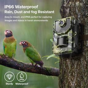 img 2 attached to 📷 High-Definition 16MP Trail Camera with Rapid 0.2s Trigger Time, 120° Wide-Angle Motion Sensor for Wildlife Monitoring and Hunting - Waterproof, No Glow, 2.4" LCD Display