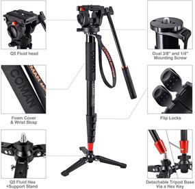 img 3 attached to 📷 COMAN KX3232 Профессиональный Монопод с Жидкостной Головкой Панорамирования – Легкий Алюминиевый Телескопический Монопод для Видеокамеры DSLR