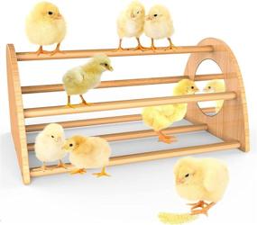 img 4 attached to 🐔 Ensayeer Bamboo Chicken Perch: Strong Roosting Bar with Mirror, Ideal Training Perch for Large Birds, Hens, Parrots & Macaws — Easy to Assemble, Clean & Guarantees Fun!