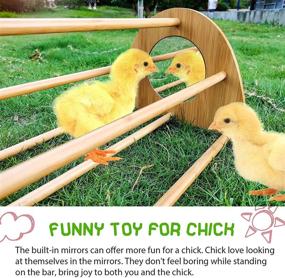 img 2 attached to 🐔 Ensayeer Bamboo Chicken Perch: Strong Roosting Bar with Mirror, Ideal Training Perch for Large Birds, Hens, Parrots & Macaws — Easy to Assemble, Clean & Guarantees Fun!