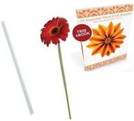 crafting perfection with gerbera daisy floral arranging straws tubes 3/8” x 8” bundle: complete with flower crafting tools ebook! logo