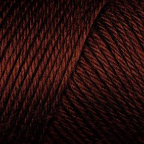 img 1 attached to Caron Simply Soft Yarn Solids (3-Pack) Chocolate H97003-9750 - Luxurious Softness for Your Knitting and Crochet Projects