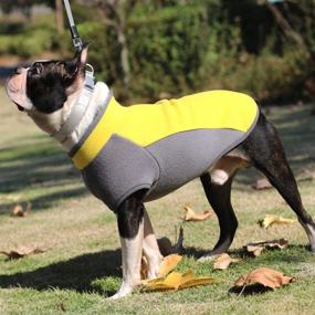 img 1 attached to 🐶 ACKERPET Stretch Dog Fleece Vest Jacket | Half Zip Pullover Dog Sweater Coat, Warm Dog Apparel for Cold Weather | Cozy Fleece for Small to Medium Dogs (M, Yellow)