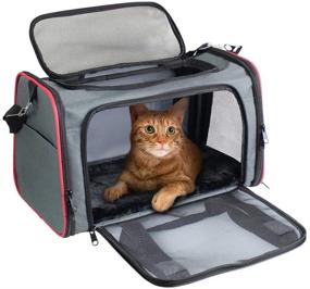 img 4 attached to 🐾 GOOPAWS Soft-Sided Kennel Pet Carrier for Small Dogs, Cats, Puppy | Airline Approved Cat Carriers Dog Carrier Collapsible | Travel Handbag & Car Seat
