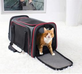 img 3 attached to 🐾 GOOPAWS Soft-Sided Kennel Pet Carrier for Small Dogs, Cats, Puppy | Airline Approved Cat Carriers Dog Carrier Collapsible | Travel Handbag & Car Seat