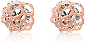 img 4 attached to 🌹 YFN Rose Gold Plated Sterling Silver Small Stud Earrings: Elegant Accessories for Women