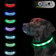 🐶 enhance your dog's safety with usb rechargeable led safety dog collars logo