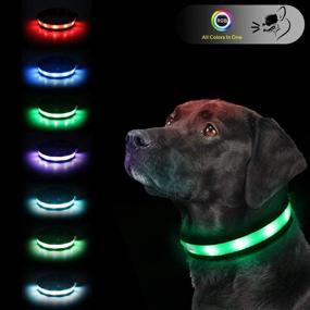 img 4 attached to 🐶 Enhance Your Dog's Safety with USB Rechargeable LED Safety Dog Collars