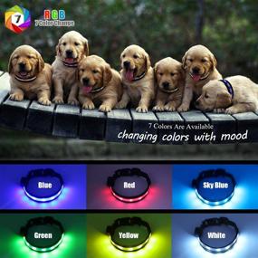 img 2 attached to 🐶 Enhance Your Dog's Safety with USB Rechargeable LED Safety Dog Collars