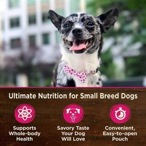 img 2 attached to 🐶 Wellness CORE Mini Meals Grain-Free Wet Dog Food - Chunky, Pate, or Shredded Meat in Gravy - Complete & Balanced - Dog Food Topper, Mixer, or Full Meal - Convenient Easy Open Pouch