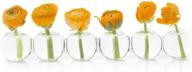 caterpillar clear glass bud vase: низкая стеклянная ваза для коротких цветов, декор дома, свадеб, композиций. логотип