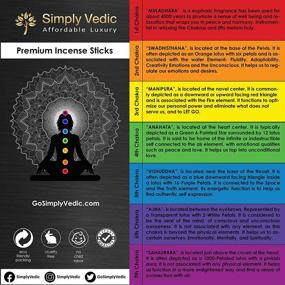 img 1 attached to Premium Agarbatti Incense Sticks Set - Simply Vedic 7 Chakra with Burner | Long-Lasting 60 Min Each | Perfect for Meditation, Yoga, Reiki, Healing, Aromatherapy Energy Cleansing | 20 Sticks Pack, 7 Variants