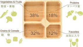 img 1 attached to 🍽️ 4-Section Square Portion Control Plates: Optimize Your Search!