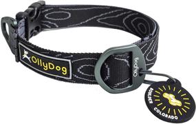 img 2 attached to 🐾 Premium Flagstaff Collar by OllyDog: Highly Durable & Comfortable Webbing Dog Collar with Convenient Side-Release Buckle