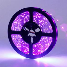 img 3 attached to 🔦 High-powered 24W UV Black Light Strip | 16.4FT/5M Flexible Blacklight LED Strip with 3528 300 LEDs | 395nm-405nm Non-Waterproof Blacklight Fixtures Kit | Includes 12V 2A LED Power Supply | Perfect for Fluorescent Dance Parties