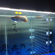 🔳 high-quality toyuto acrylic fish tank divider for 5.5/10/29/30/40/55/75/120 gallon tanks - reliable isolation board (suction cup not included) logo