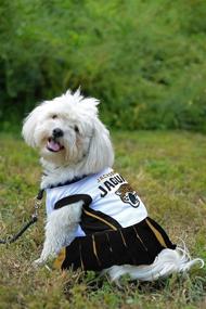 img 3 attached to Jacksonville Jaguars Cheerleader Dress Dogs