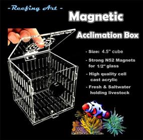 img 2 attached to 🐠 Reefing Art Small Magnetic Acclimation Breeder Box for Anemone Coral with Extra-Strength N52 Magnets, suitable for 1/2" Glass