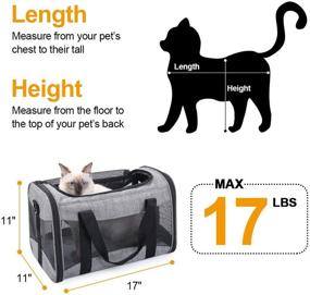 img 3 attached to 🐶 BEELIKE Soft-Sided Dog Carriers for Small Dogs – Travel-Friendly Cat Carrier Bag with Mesh Windows and Fleece Padding, Ideal for Airline Travel with Kittens, Puppies, and Small Dogs