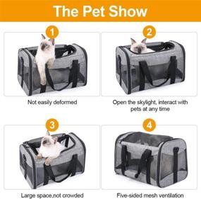 img 1 attached to 🐶 BEELIKE Soft-Sided Dog Carriers for Small Dogs – Travel-Friendly Cat Carrier Bag with Mesh Windows and Fleece Padding, Ideal for Airline Travel with Kittens, Puppies, and Small Dogs